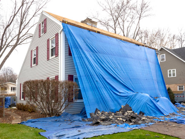 Best Hoarding Cleanup  in Salem, MO
