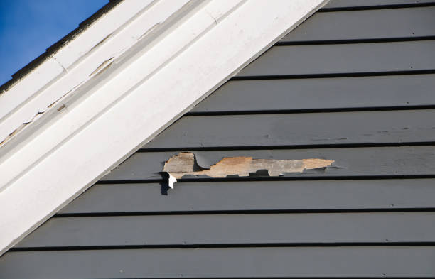 Same-Day Junk Removal Services in Salem, MO